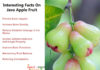 Interesting Health Facts On Java Apple Fruit Interesting-Facts-On-Java-Apple-Fruit