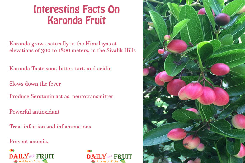 Interesting-Facts-On-Karonda-Fruit
