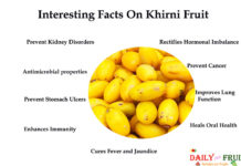 Interesting Health Facts On Khirni Fruit Interesting-Facts-On-Khirni-Fruit