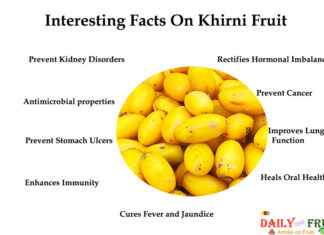 Interesting Health Facts On Khirni Fruit Interesting-Facts-On-Khirni-Fruit