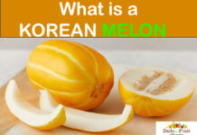 Interesting Facts On Korean Melon Interesting-Facts-On-Korean-Melon