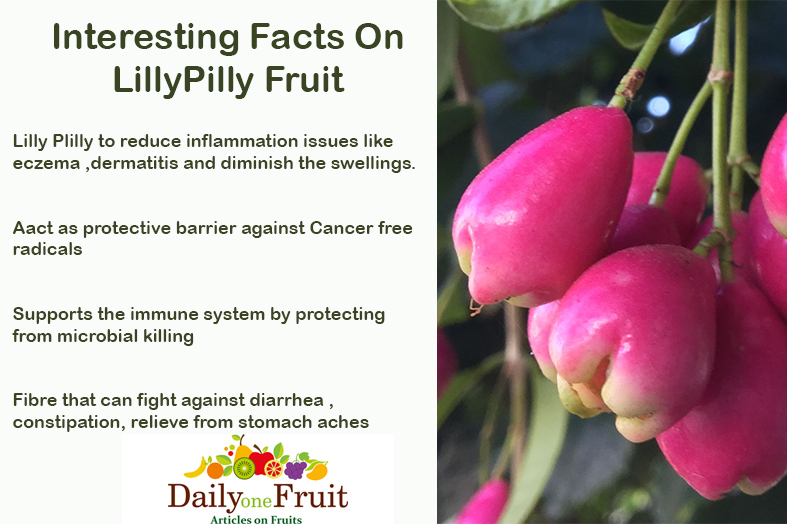 Interesting Facts On LillyPilly Fruits