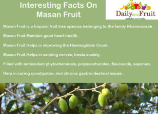 Interesting Facts On Masan Fruit Interesting Facts On Masan Fruit