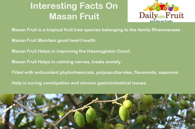Interesting Facts On Masan Fruit