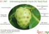Interesting Facts On Noni Fruit Interesting-Facts-On-Noni