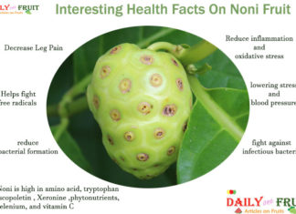 Interesting Facts On Noni Fruit Interesting-Facts-On-Noni