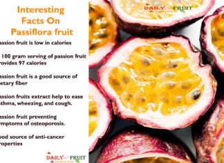 Interesting Health Facts On Passiflora fruit Interesting-Facts-On-Passiflora-fruit