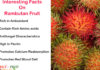 Interesting Facts On Rambutan Fruits Interesting Facts On Rambutan Fruits