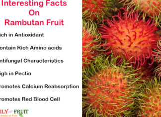 Interesting Facts On Rambutan Fruits Interesting Facts On Rambutan Fruits