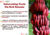 Interesting Health Facts On Red Banana Interesting-Facts-On-Red-Banana