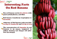 Interesting Health Facts On Red Banana Interesting-Facts-On-Red-Banana