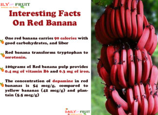 Interesting Health Facts On Red Banana Interesting-Facts-On-Red-Banana
