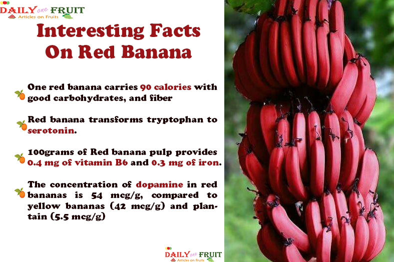 Interesting-Facts-On-Red-Banana