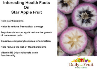Interesting Facts On Star Apple fruit Interesting Facts On Satr Apple fruit