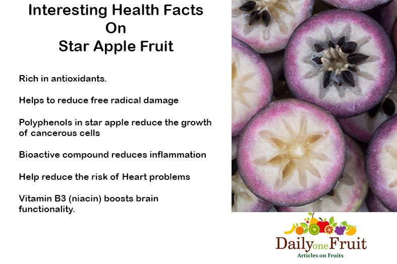 Interesting Facts On Star Apple fruit