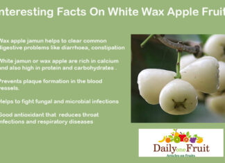 How to say Jambu Bell Fruit Interesting Facts On Wax apple Jamun