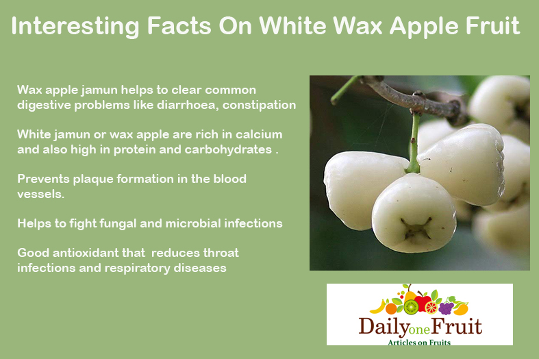 Interesting Facts On Wax apple Jamun