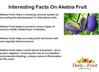 Interesting Facts On Akebia Fruit Interesting-Facts-On-akebia-fruit