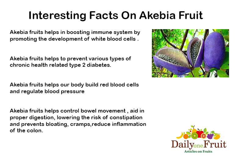 Interesting-Facts-On-akebia-fruit
