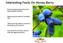 Interesting Facts On Honey Berry Fruit Interesting-Facts-on-Honey-Berry