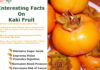 Interesting Health Facts on kaki fruit Interesting-Facts-on-Kaki-Fruit