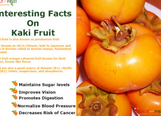 Interesting Health Facts on kaki fruit Interesting-Facts-on-Kaki-Fruit