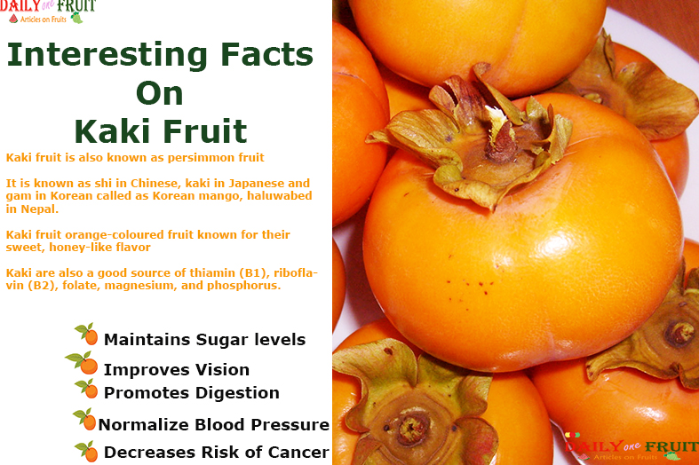 Interesting-Facts-on-Kaki-Fruit