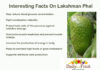 Interesting Facts On Lakshman Pal Interesting Facts on Lakshman Pal