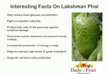 Interesting Facts On Lakshman Pal Interesting Facts on Lakshman Pal