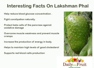 Interesting Facts On Lakshman Pal Interesting Facts on Lakshman Pal