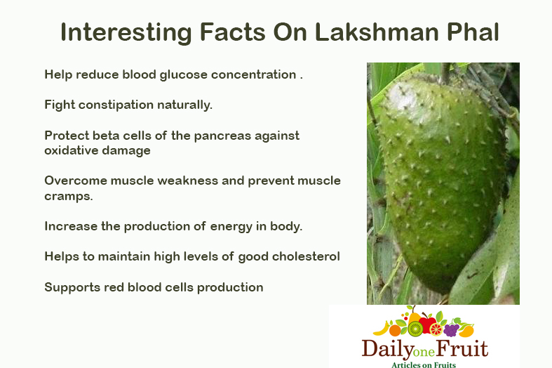 Interesting Facts on Lakshman Pal