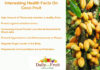 Interesting Health Facts On Coco Fruit Interesting Health Facts On Coco Fruit