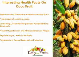 Interesting Health Facts On Coco Fruit Interesting Health Facts On Coco Fruit