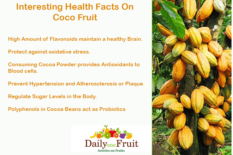 Interesting Health Facts On Coco Fruit