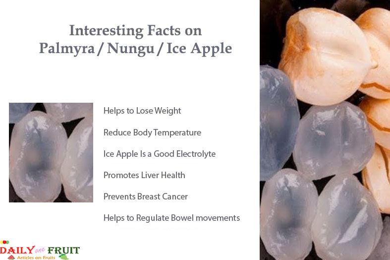 Interesting-Health-Facts-On-Ice-Apple