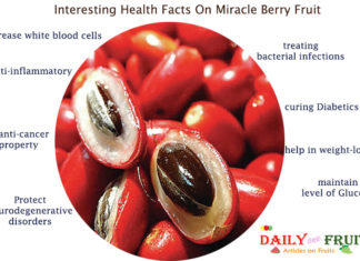 Interesting Health Facts On Miracle Berry Fruit Interesting-Health-Facts-On-Miracle-Berry-Fruit