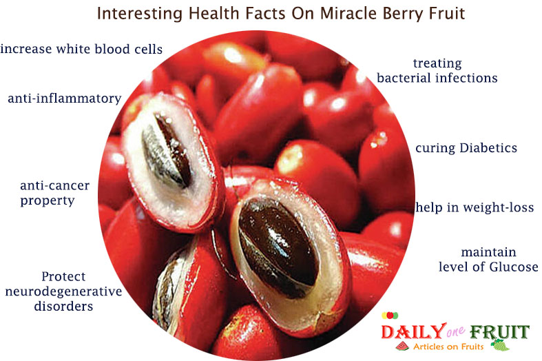 Interesting-Health-Facts-On-Miracle-Berry-Fruit