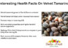 Interesting Facts On Velvet Tamarind Interesting-Health-Facts-On-Velvet-Tamarind