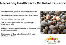 Interesting Facts On Velvet Tamarind Interesting-Health-Facts-On-Velvet-Tamarind