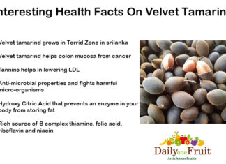 Interesting Facts On Velvet Tamarind Interesting-Health-Facts-On-Velvet-Tamarind