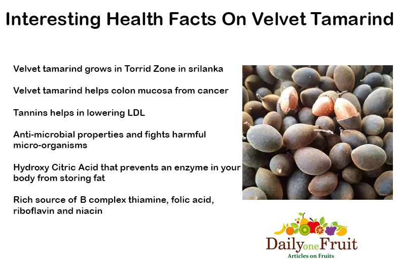 Interesting-Health-Facts-On-Velvet-Tamarind
