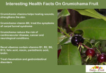 Interesting Health Facts On Grumichama Fruit Interesting-Health-Facts-on-Grumichama
