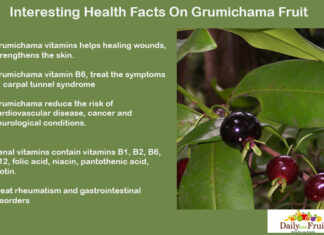 Interesting Health Facts On Grumichama Fruit Interesting-Health-Facts-on-Grumichama
