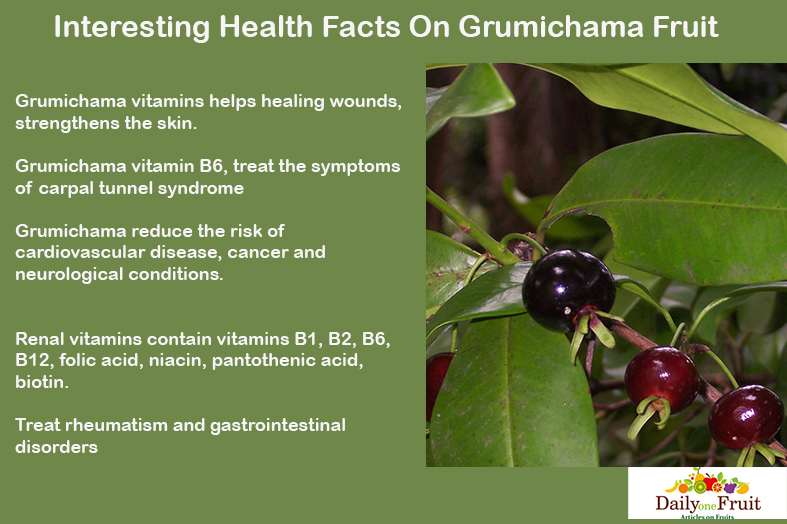 Interesting-Health-Facts-on-Grumichama