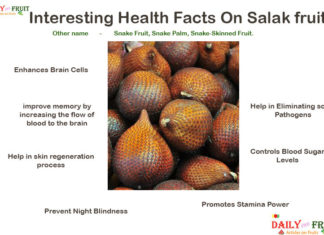 Interesting Health Facts On Salak Fruit Interesting-Health-Facts-on-Salak-Fruits
