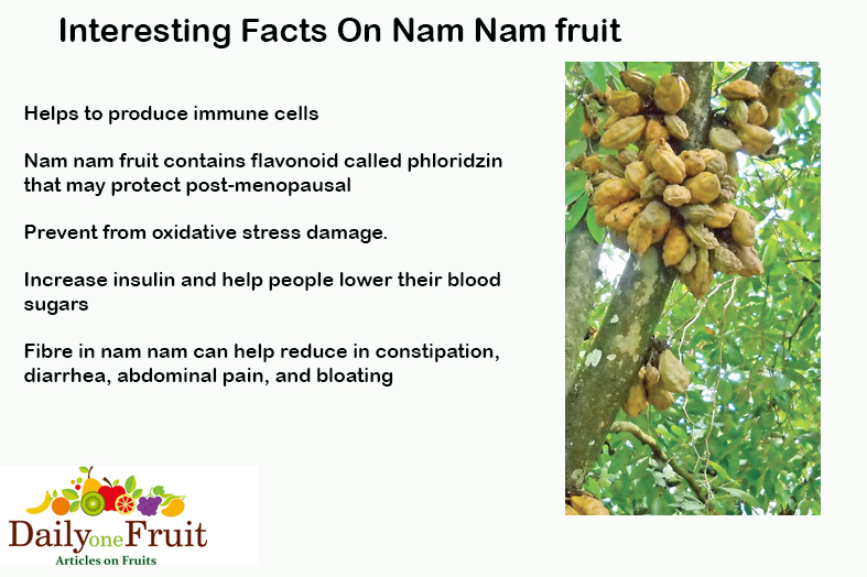 Interesting facts on nam nam fruit
