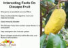 Interesting Facts on Olasapo Fruit Interesting facts on olasapo fruit
