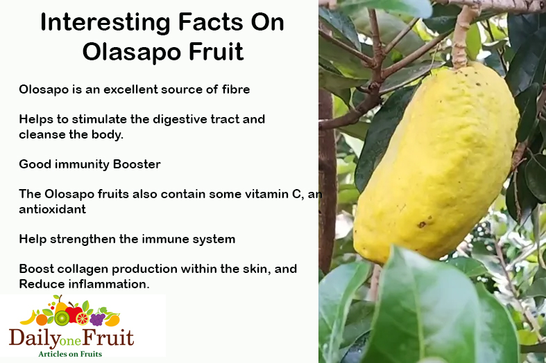 Interesting facts on olasapo fruit
