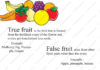 What are True Fruits and False Fruits True Fruit And False Fruit