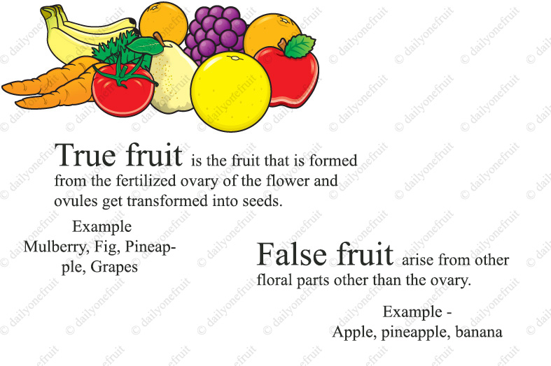 True Fruit And False Fruit